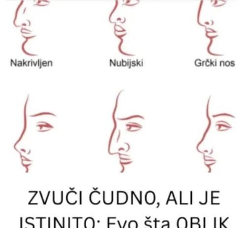 ZVUČI ČUDNO, ALI JE ISTINITO: Evo šta OBLIK NOSA govori O VAMA! Svima je pogodilo