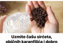 Uzmite čašu sirćeta, običnih karanfilića i dobro sačuvajte ovaj domaći trik: KORISTIM GA GODINAMA I PREPORUČUJEM SVIMA!
